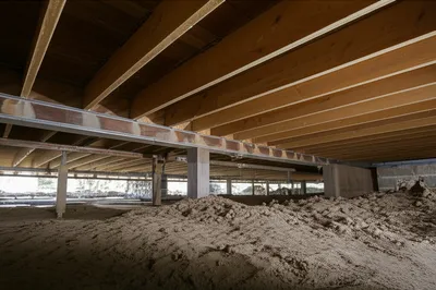 Hình ảnh minh họa underparts