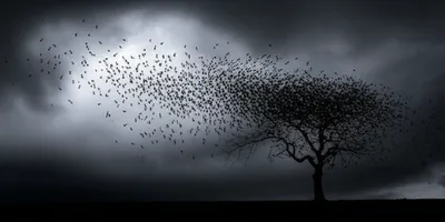 Illustration omens - Image 1