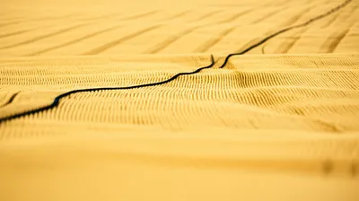 Illustration continuous - Image 1