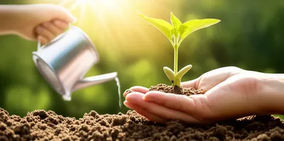 Illustration lends - Image 1