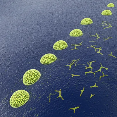 Illustration development - Image 1