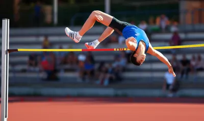 Illustration bar - Image 1