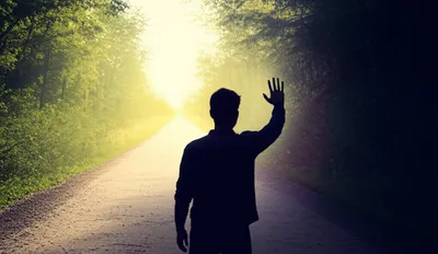 Illustration forbore - Image 1