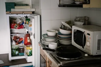 Illustration gyps - Image 1