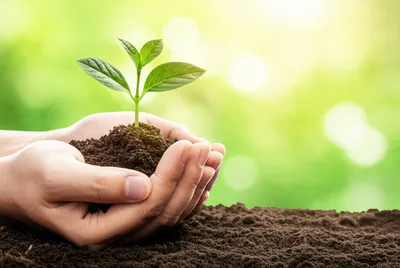 Illustration productive - Image 1