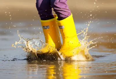 Illustration dabbled - Image 1