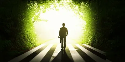 Illustration coming - Image 1