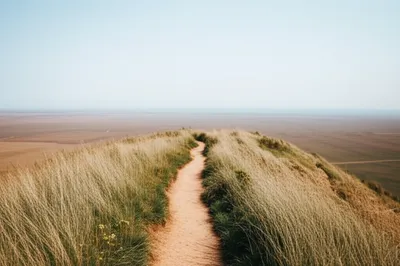 Illustration broader - Image 1