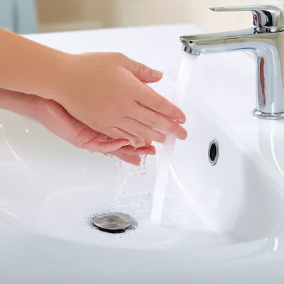 Hình ảnh minh họa washbowl