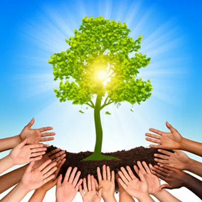 Illustration advocated - Image 2