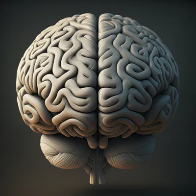 Illustration gyrations - Image 1