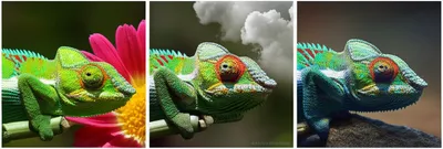 Illustration adjectives