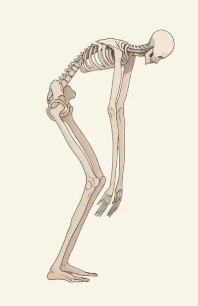 Illustration spider - Image 1