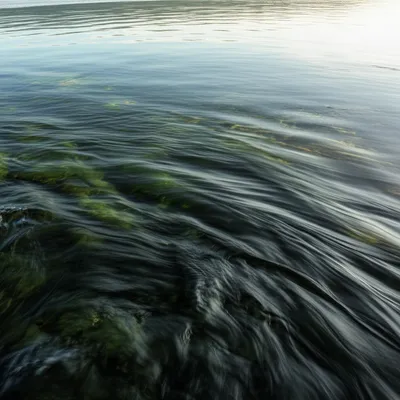 Illustration undercurrent - Image 1