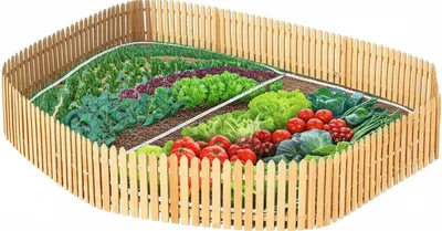 Illustration perimeter - Image 1