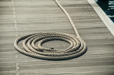 Illustration flake - Image 1