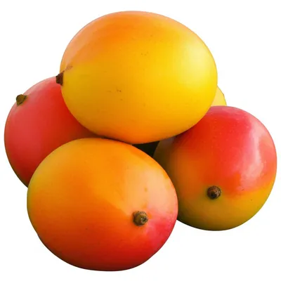 Illustration orange - Image 1