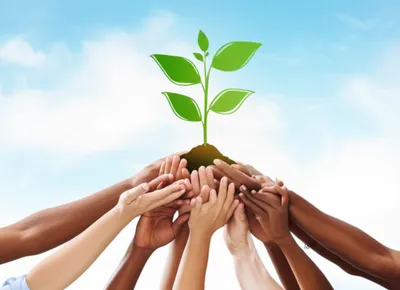 Illustration supported - Image 1