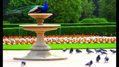 Illustration sorts - Image 1