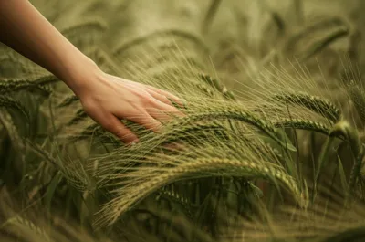 Illustration strikes - Image 1