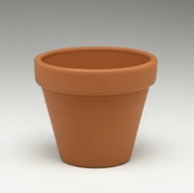 Illustration entity - Image 1