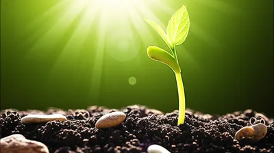 Illustration shoots - Image 1