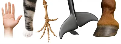 Illustration digit - Image 1