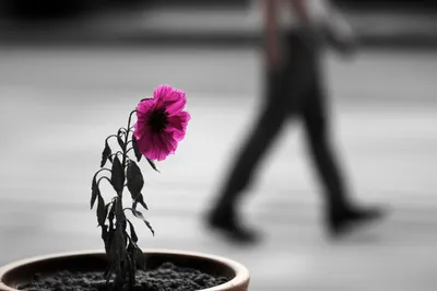 Illustration neglecting - Image 1