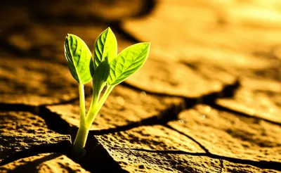 Illustration lifts - Image 1