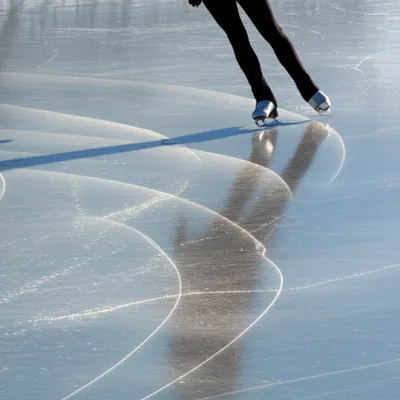 Illustration lobes - Image 1