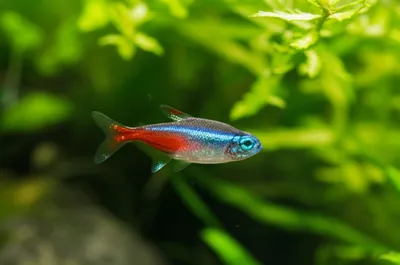 Illustration card - Image 1