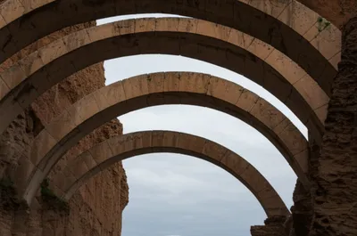 Illustration springs - Image 1