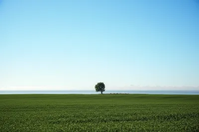 Illustration skyline - Image 1