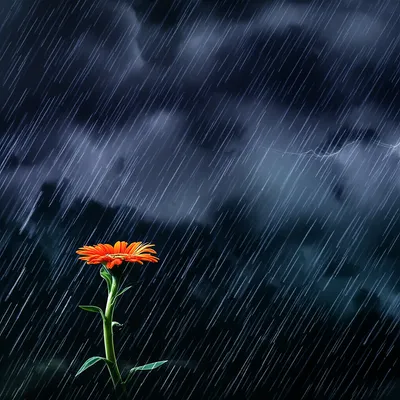 Illustration tank - Image 1