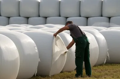 Illustration ensilage - Image 1