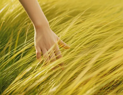 Illustration strike - Image 1