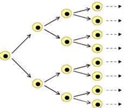 Illustration proliferation - Image 2