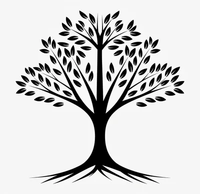 Illustration seed - Image 1