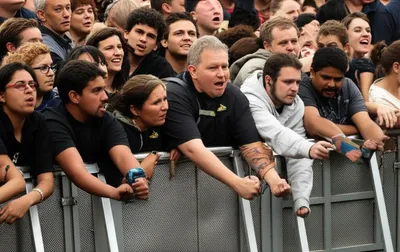 Illustration crushes - Image 1