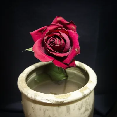 Illustration sour - Image 1