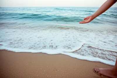 Illustration shore - Image 1