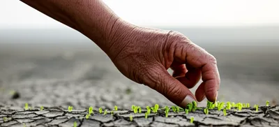 Illustration sprouting - Image 1