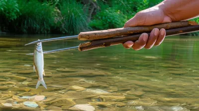 Illustration gigs - Image 1