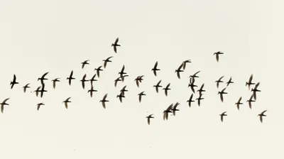 Illustration gathers - Image 1