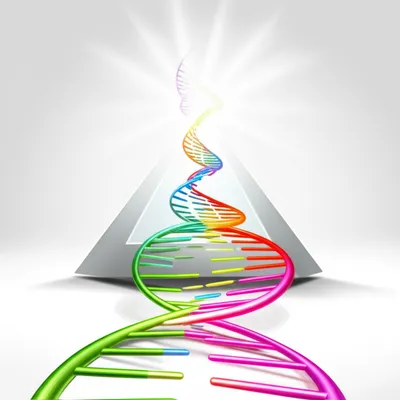 Illustration pyramided - Image 1