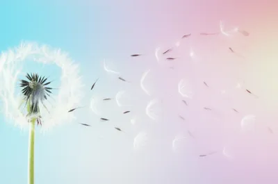 Illustration fluffier - Image 1