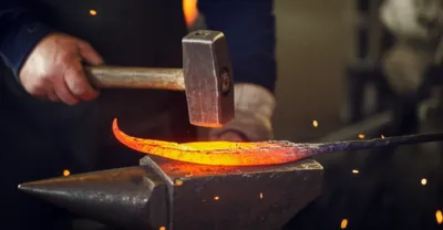 Illustration foliated - Image 1