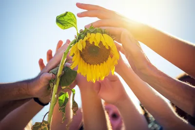 Illustration hearting - Image 1