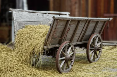 Illustration coop - Image 1