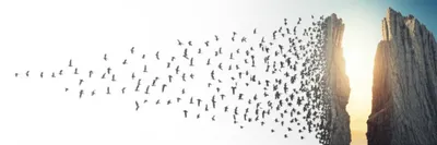 Illustration breakaway - Image 1